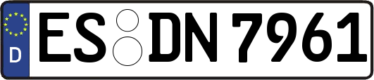 ES-DN7961