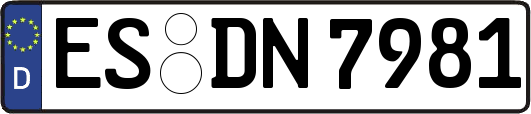 ES-DN7981