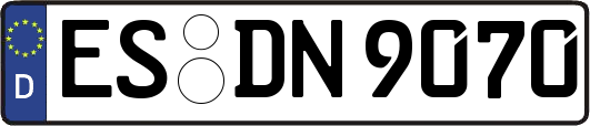 ES-DN9070