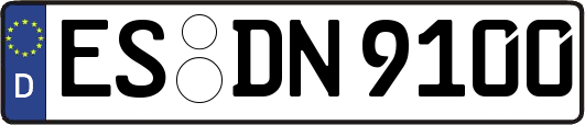 ES-DN9100
