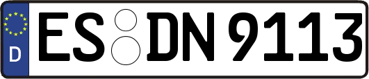 ES-DN9113