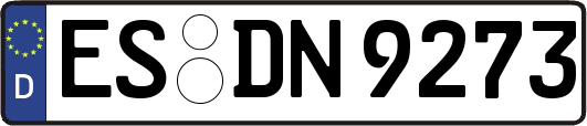 ES-DN9273