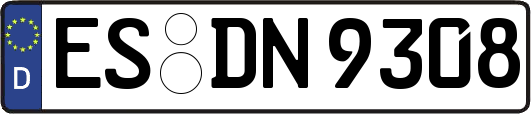 ES-DN9308