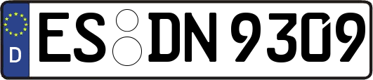 ES-DN9309