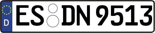 ES-DN9513
