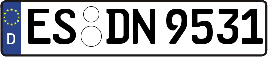 ES-DN9531