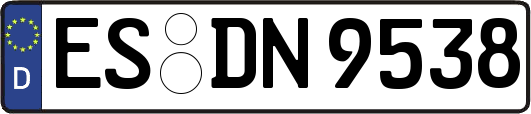 ES-DN9538