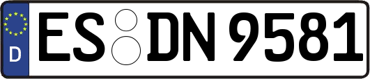 ES-DN9581
