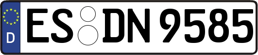 ES-DN9585
