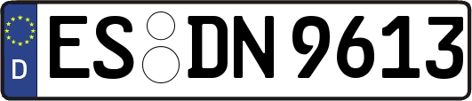ES-DN9613