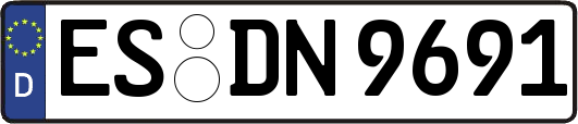 ES-DN9691