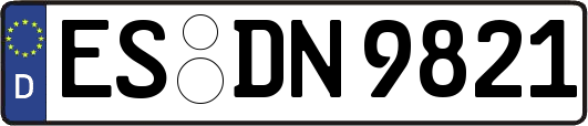 ES-DN9821