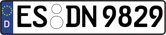 ES-DN9829