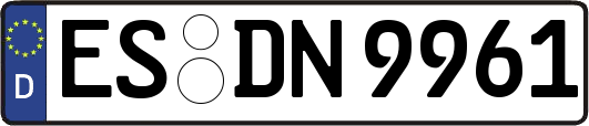 ES-DN9961