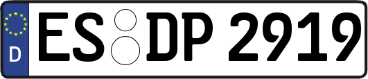 ES-DP2919