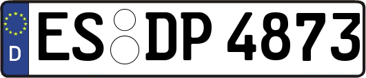 ES-DP4873