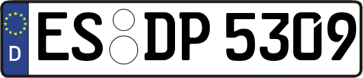 ES-DP5309