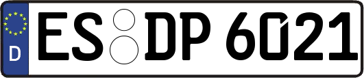 ES-DP6021