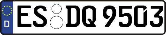 ES-DQ9503
