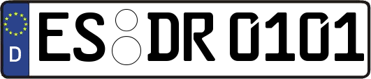 ES-DR0101