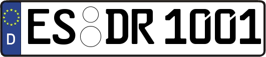 ES-DR1001