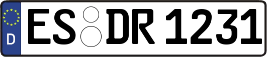 ES-DR1231