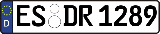ES-DR1289
