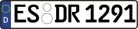 ES-DR1291