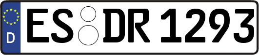 ES-DR1293