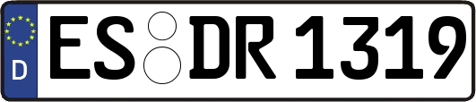 ES-DR1319