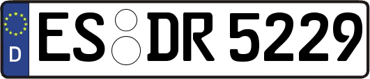 ES-DR5229