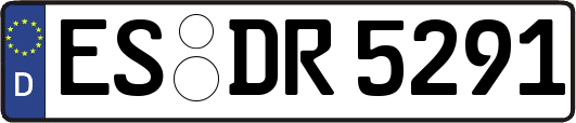 ES-DR5291
