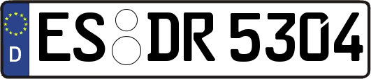 ES-DR5304