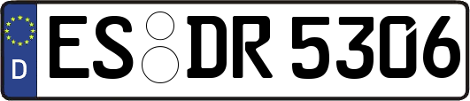 ES-DR5306