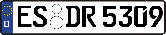ES-DR5309