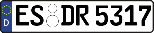 ES-DR5317