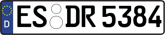 ES-DR5384