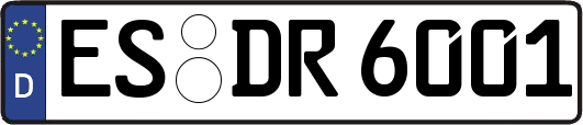 ES-DR6001
