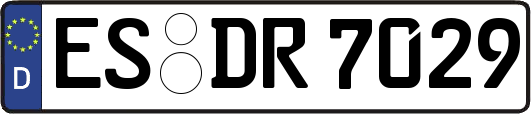 ES-DR7029