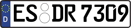 ES-DR7309