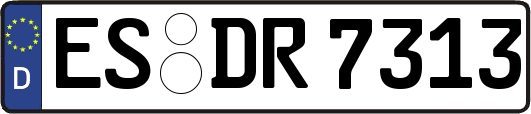 ES-DR7313