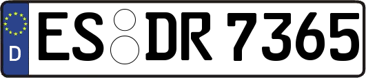 ES-DR7365