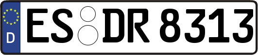 ES-DR8313