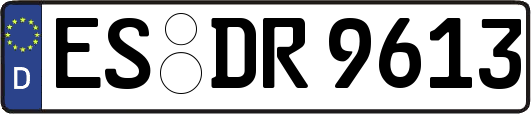ES-DR9613