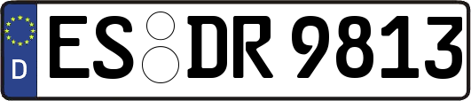 ES-DR9813