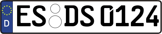 ES-DS0124