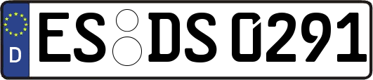ES-DS0291