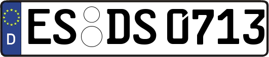 ES-DS0713