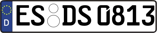 ES-DS0813