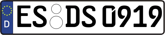 ES-DS0919